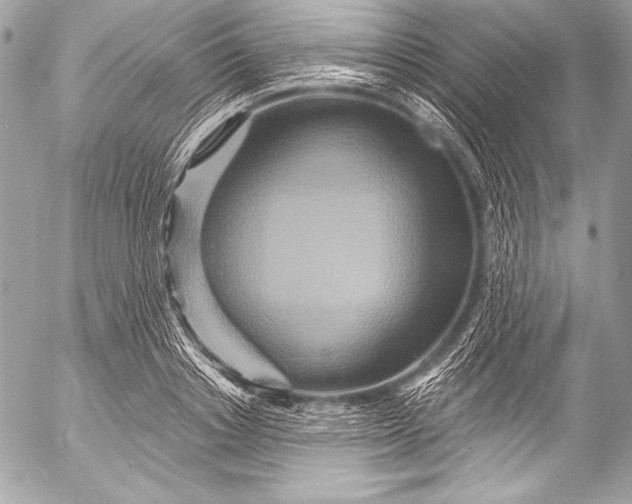 X0000053060842200507251446