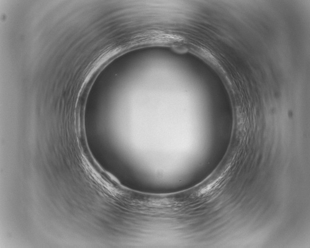 X0000053060843200507251446