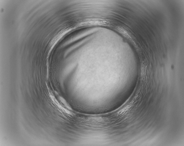 X0000053060844200507251446