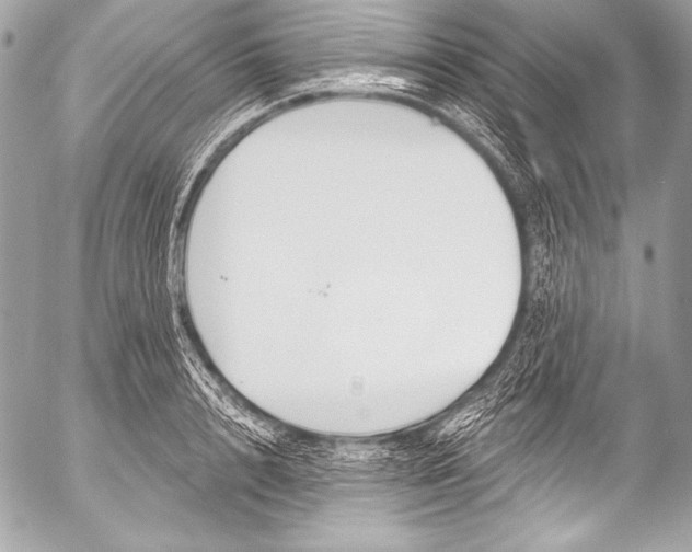 X0000053060848200507251447