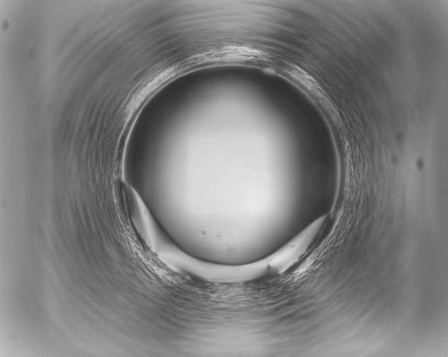X0000053060850200507251447
