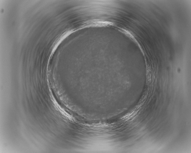 X0000053060851200507251447