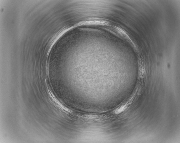 X0000053060852200507251447