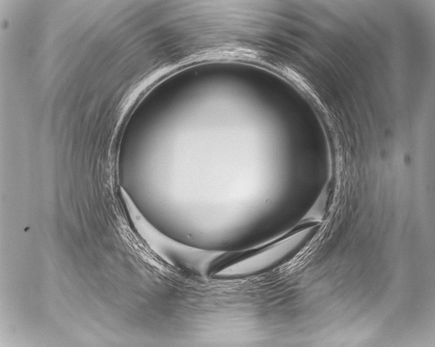 X0000053060854200507251447