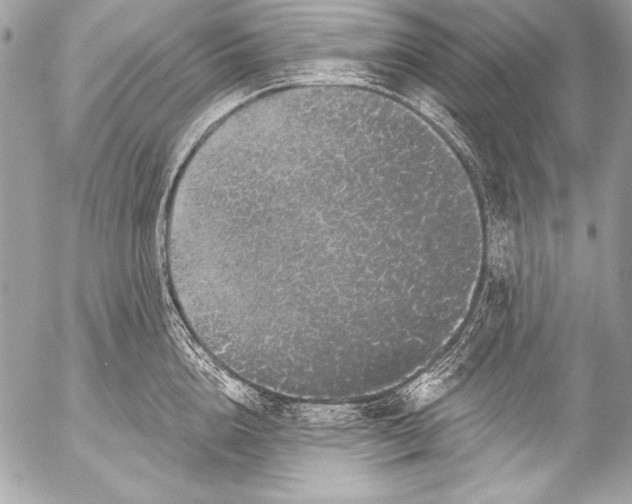 X0000053060856200507251447