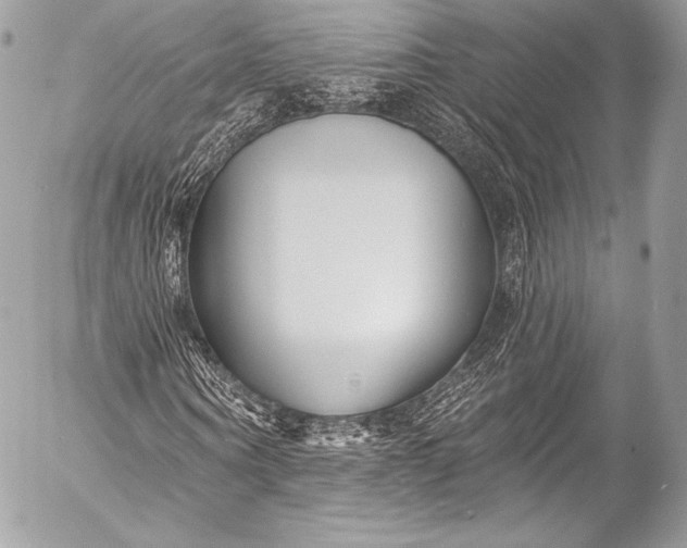 X0000053060866200507251446