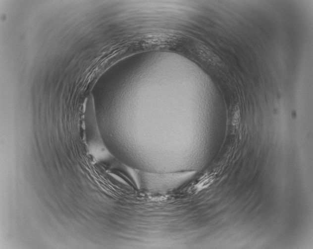 X0000053060868200507251446