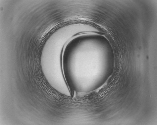X0000053060871200507251446