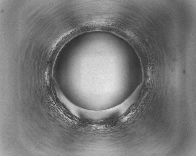 X0000053060872200507251446