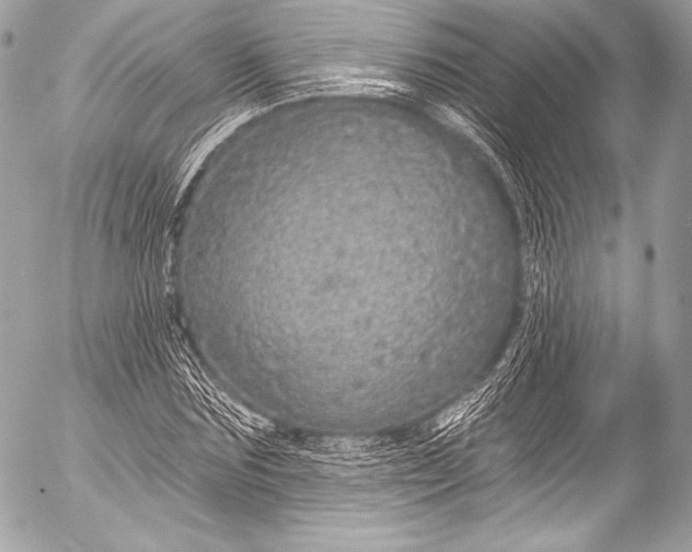 X0000053060875200507251446