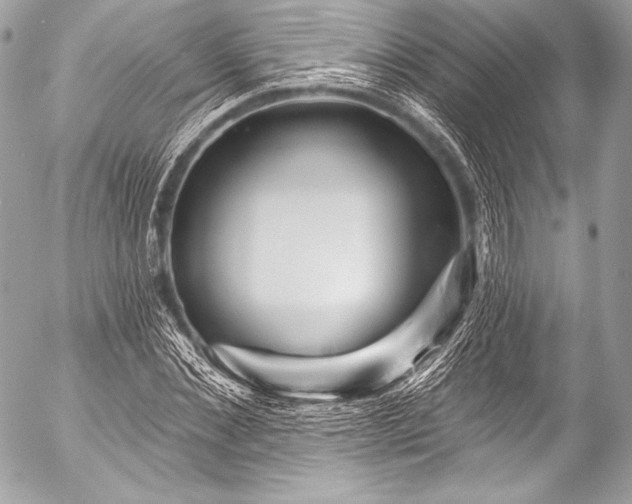 X0000053060876200507251446