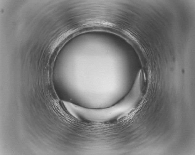 X0000053060877200507251446