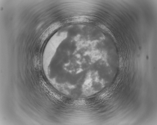 X0000053060882200507251446