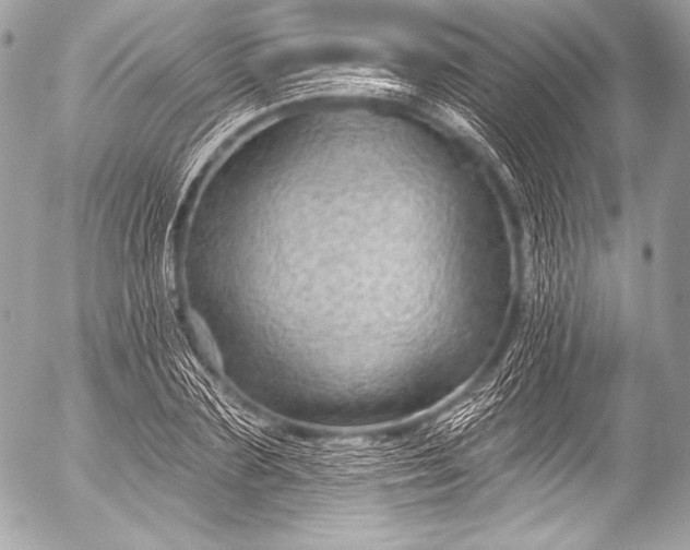 X0000053060883200507251446