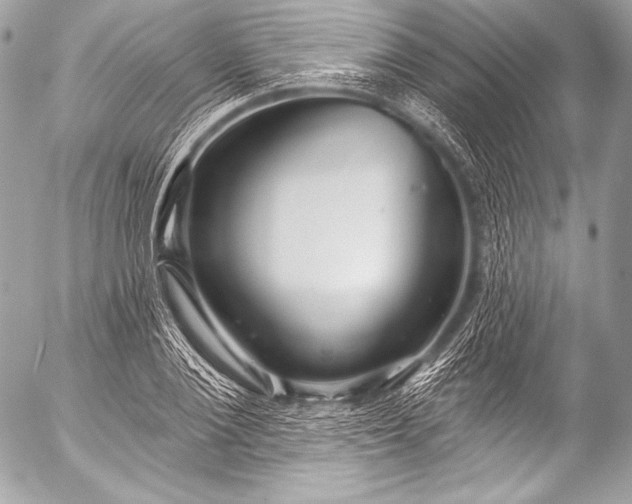 X0000053060884200507251446