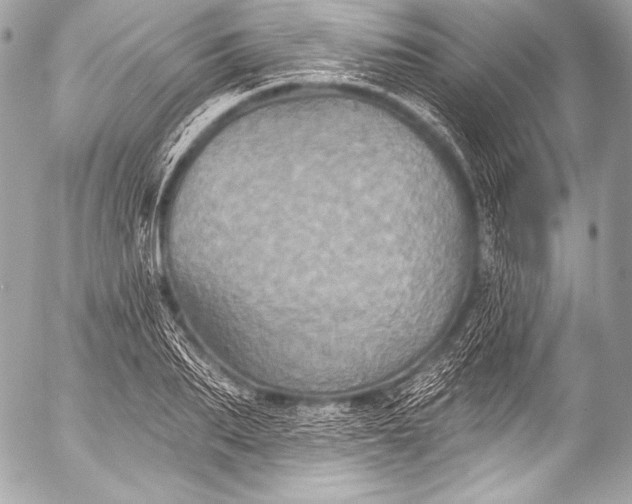 X0000053060887200507251446
