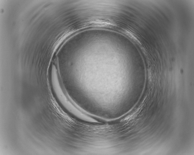 X0000053060891200507251446