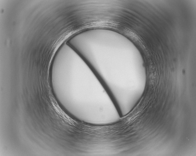 X0000053060892200507251446