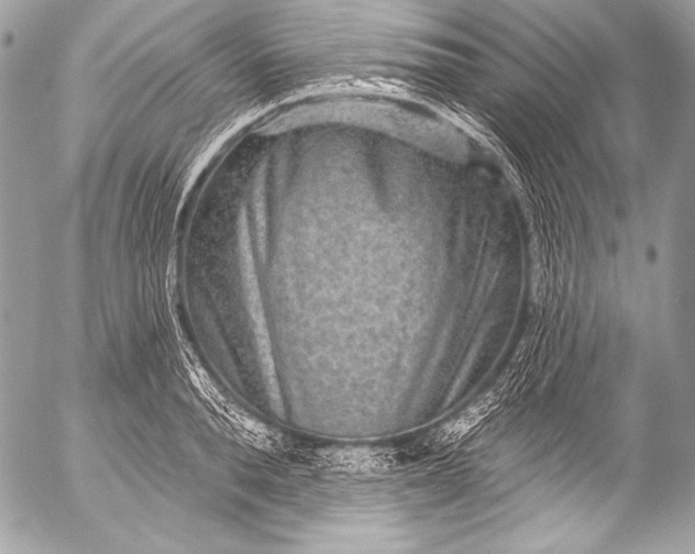 X0000053060896200507251446