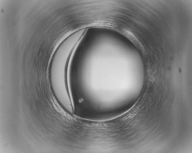 X0000053060900200507251445