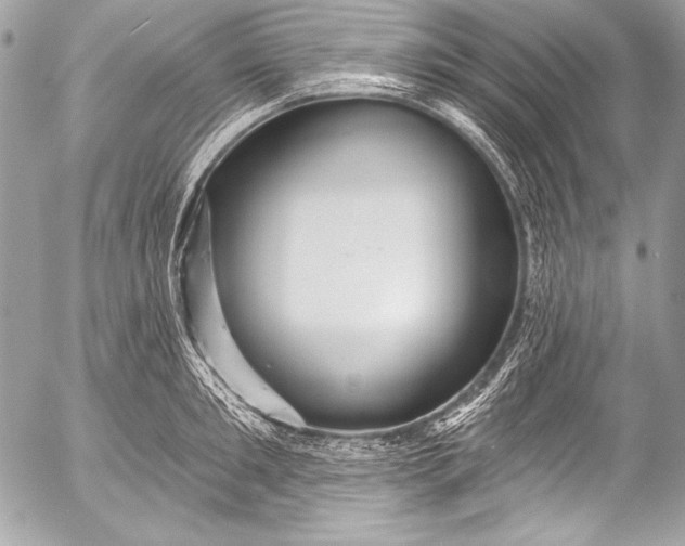 X0000053060901200507251445