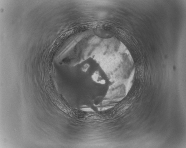 X0000053060913200507251444