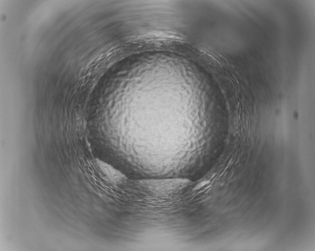 X0000053060917200507251445