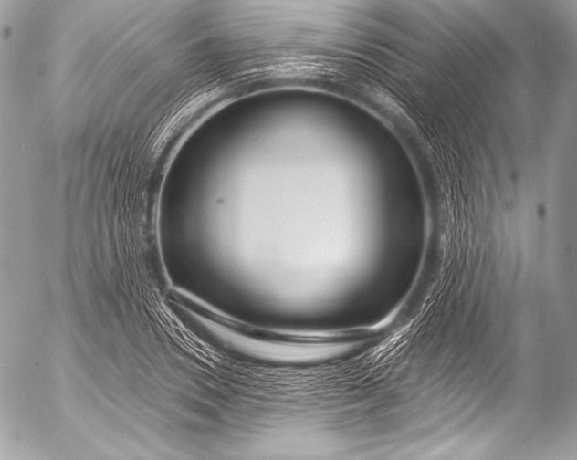 X0000053060930200507251445