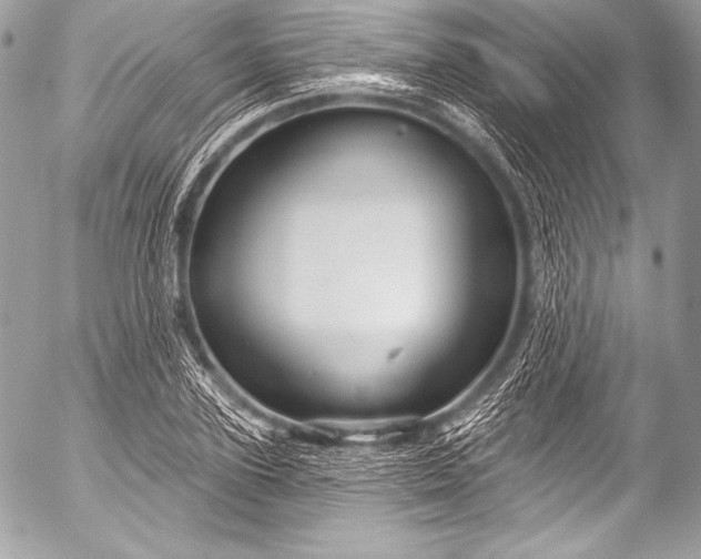 X0000053060931200507251445