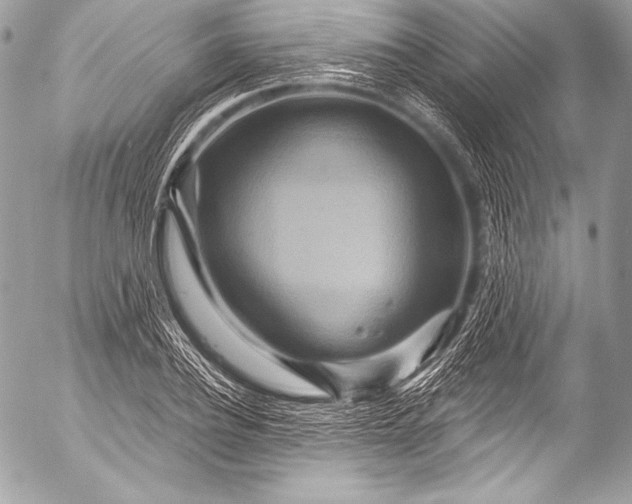 X0000053060932200507251445