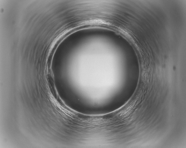 X0000053060939200507251445