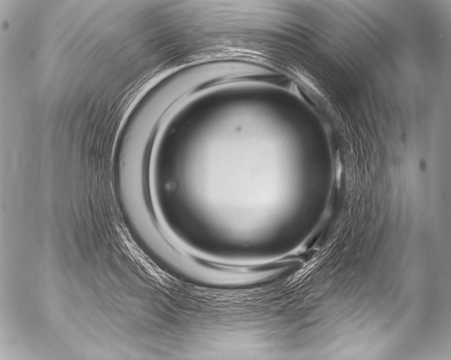 X0000053060940200507251445