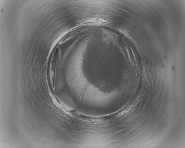 X0000053060941200507251445