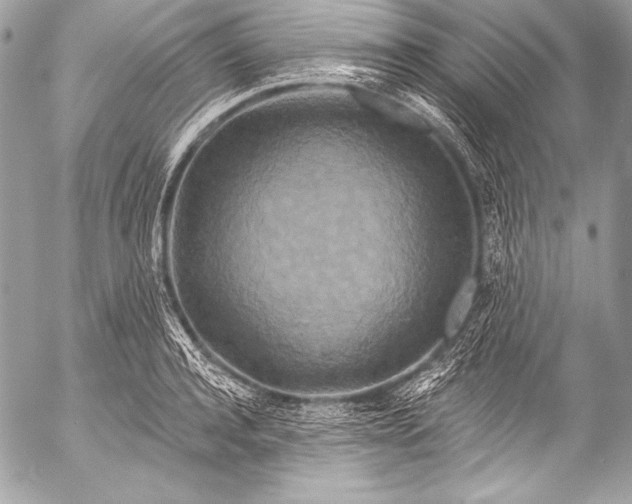 X0000053060944200507251445