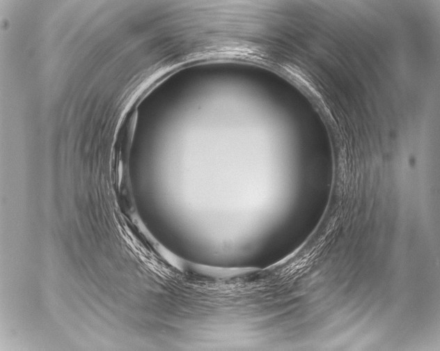 X0000053060948200507251445