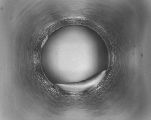 X0000053060965200507251444