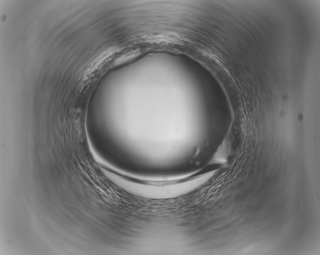 X0000053060968200507251444