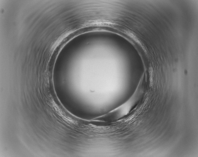 X0000053060972200507251444