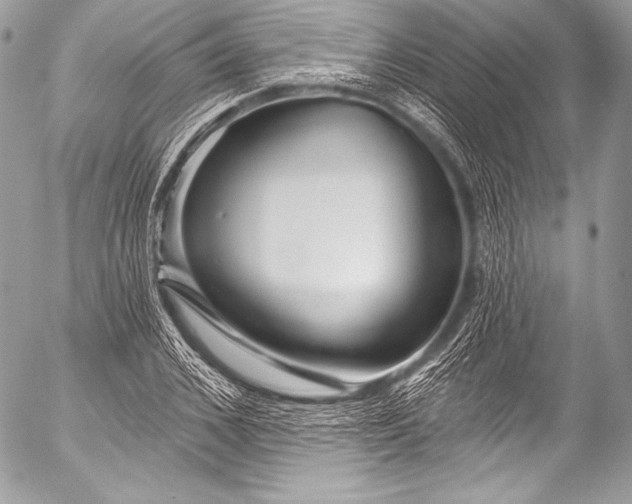 X0000053060976200507251444