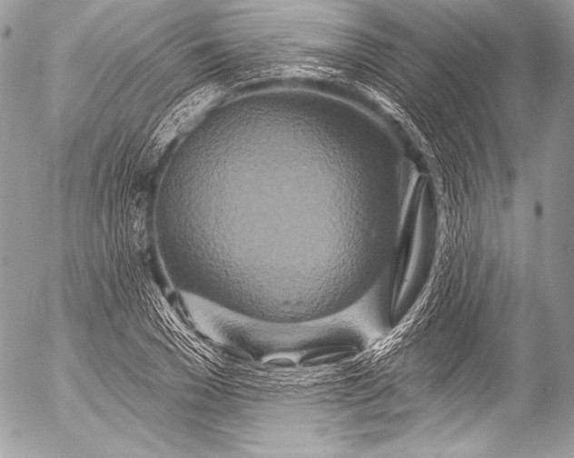 X0000053060977200507251444