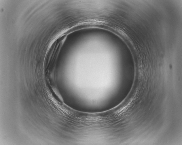 X0000053060981200507251444