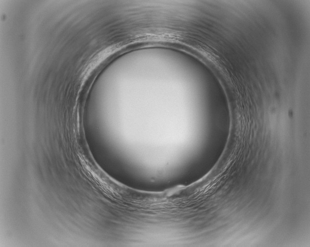 X0000053060982200507251444