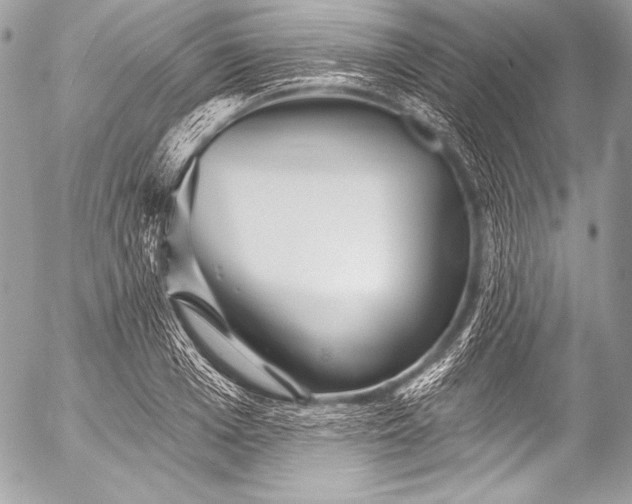 X0000053060985200507251444