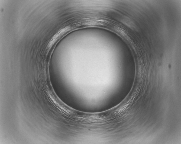 X0000053060986200507251444