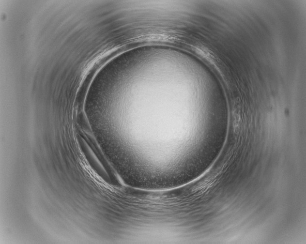 X0000053060987200507251444
