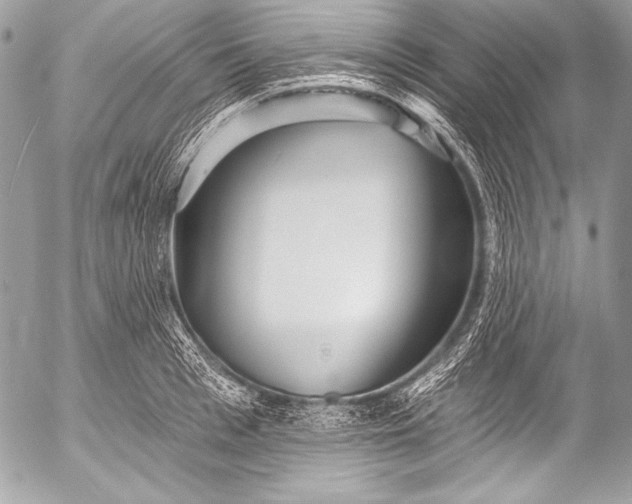 X0000053060993200507251444