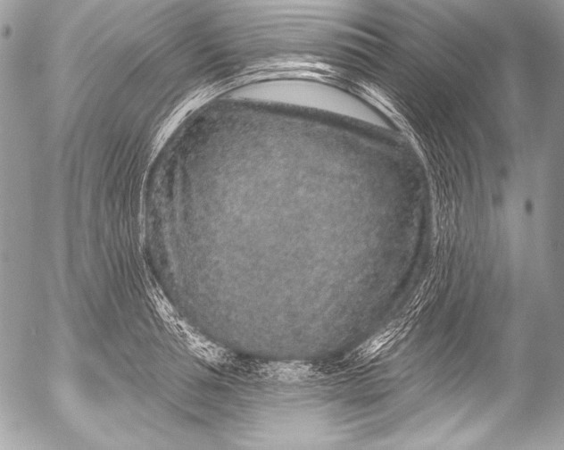 X0000053060994200507251444