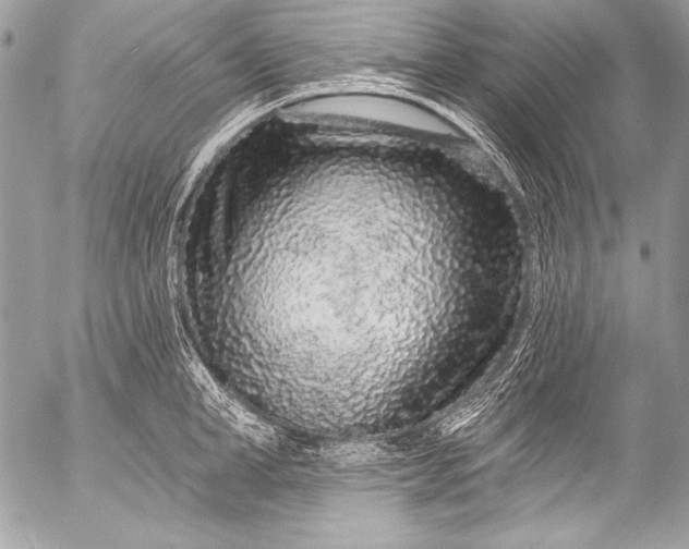 X0000053060998200507251444
