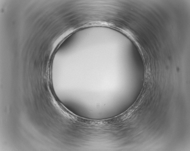 X0000053061003200507251444