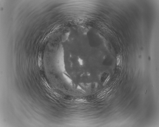 X0000053061011200507251443